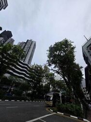 Beach Road (D7), Retail #530467261